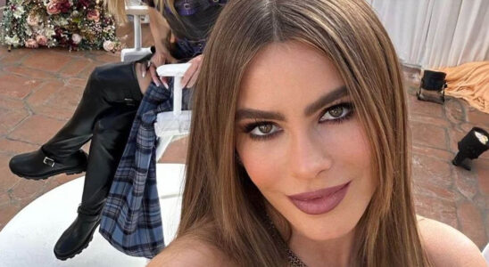 La sesión fotográfica de Sofía Vergara que ha cautivado a sus seguidores 9 sofia5 SOY CHALUPA