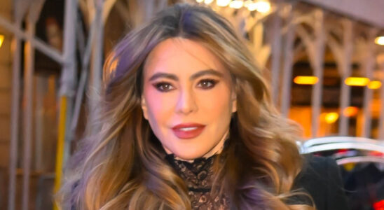 Sofia Vergara se deshace de su mansion en Beverly Hills (VIDEO) 18 sofia 1 SOY CHALUPA