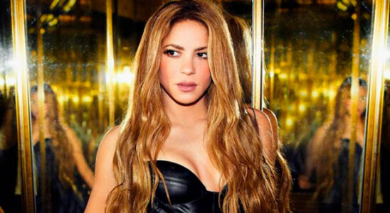 El peculiar anuncio de Shakira en sus redes sociales (VIDEO) 48 shakira 4 SOY CHALUPA