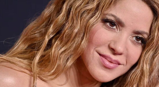 shakira 9 SOY CHALUPA