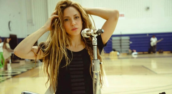 La imponente suma de dinero que Shakira factura semanalmente 48 shakira1 8 SOY CHALUPA