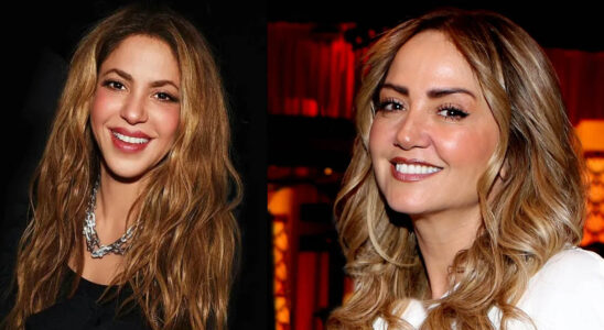 Porque Andrea Legarreta fue tan criticada tras su entrevista con Shakira? (VIDEO) 19 andrea 2 SOY CHALUPA
