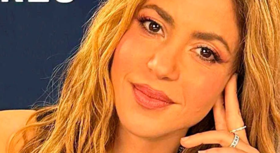 Lujo en alta mar: Shakira se une a las festividades previas a la boda de Radhika Merchant y Anant Ambani 21 bsva 2024 05 27T093924.934 SOY CHALUPA