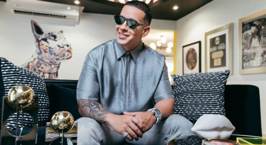 La increíble mansión de Daddy Yankee valuada en 40 millones de dólares(VIDEO) 19 Daddy Yankee mansion de 40 millones de dolares