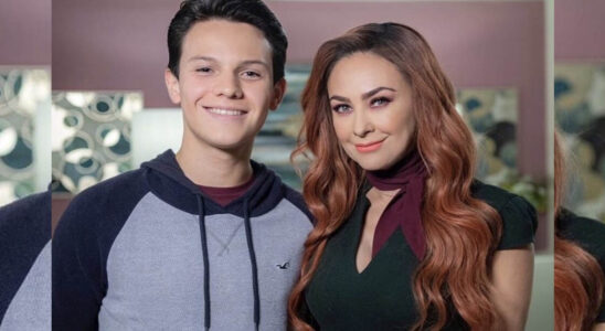 Aracely Arámbula revela si su hijo tiene planes de seguir la carrera de su padre, Luis Miguel 17 Aracely Arambula y su hijo