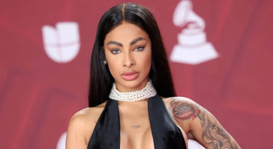 VIDEO: Yailin responde si tiene nuevo novio o no 19 Yailin