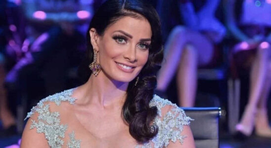 Dayanara Torres hijos