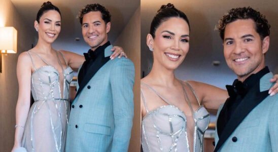 VIDEO: El emotivo video que la esposa de David Bisbal le dedico por su cumpleaños 6 bisbal1 1 SOY CHALUPA