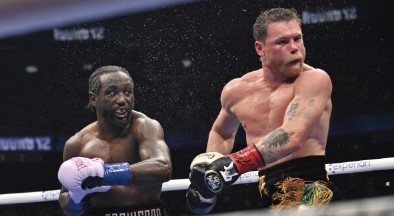 canelo SOY CHALUPA