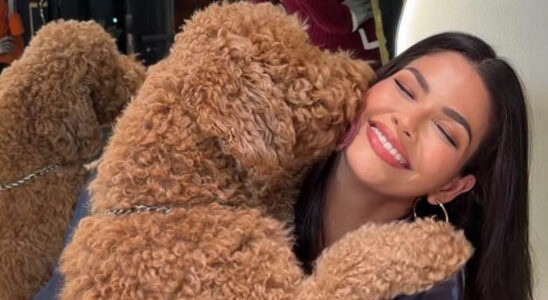 Después de anunciar su divorcio Ana Patricia Gámez sube fotos con su perro y deja un mensaje que dejó a muchos a pensar 1 ana 2 SOY CHALUPA