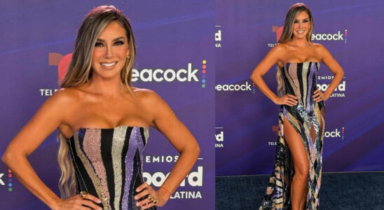 VIDEO: Asi de bella llegaba Elizabeth Gutierrez a los Premios Billboard 7 eli SOY CHALUPA