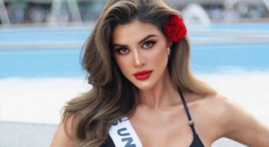 VIDEO: La dominicana Yamilex dejó a más de uno con la boca abierta con su pasarela en traje de baño 7 yamilex SOY CHALUPA