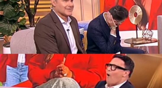 ALAN TACHER SOY CHALUPA