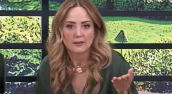 ANDREA SOY CHALUPA