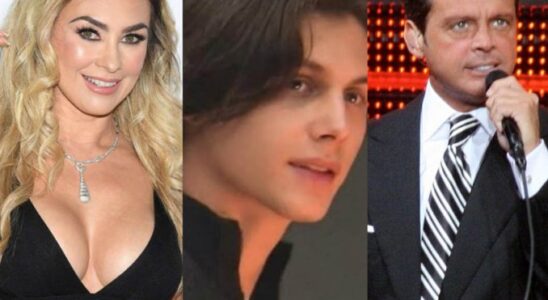 VIDEO: ¿Los hijos de Aracely Arámbula y 'Luismi' huyeron de México tras ser descubiertos? 12 UISMI SOY CHALUPA