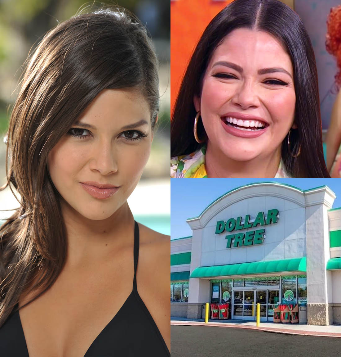 Ana Patricia Gamez recordo emocionada el modesto trabajo que tenia en USA antes de ser famosa 7 ana patricia gamez dollar tree SOY CHALUPA