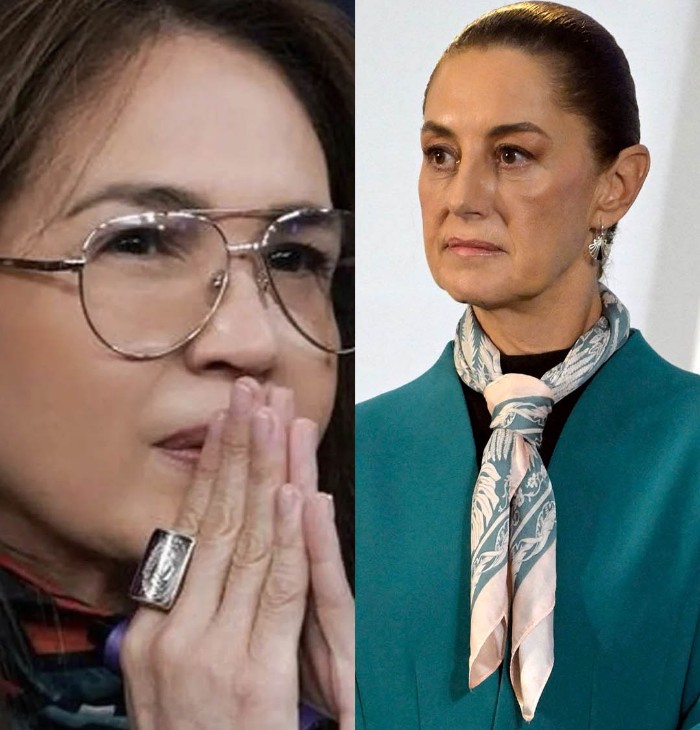 VIDEO: Yolanda Andrade desafía a Claudia Sheinbaum y exige reabrir impactante caso familiar 5 PROTAGONISTA