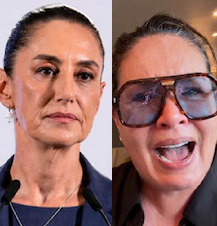 VIDEO: Yolanda Andrade desafía a Claudia Sheinbaum y exige reabrir impactante caso familiar 6 PROTAGONISTA
