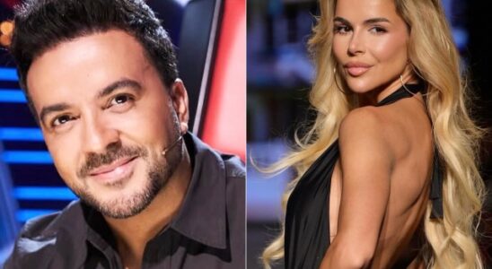 FOTO: Así fue el comentario de Luis Fonsi a las atrevidas fotos que compartió su esposa Agueda López 17 Luis Fonsi