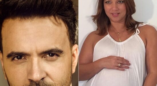 VIDEO: Luis Fonsi contó que Adamari López le pidió los embriones que habían fecundado juntos y la decisión que tomó pese al consejo de su abogada 12 Luis Fonsi
