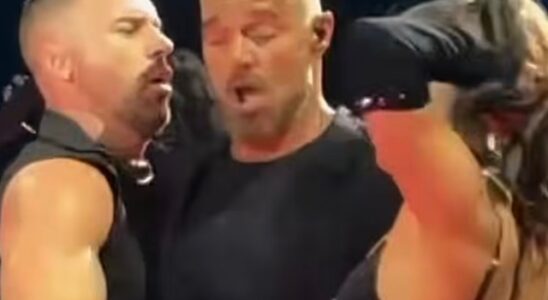 No paran las críticas por la desagradable escena que hizo Ricky Martin en uno de sus shows 21 Ricky Martin