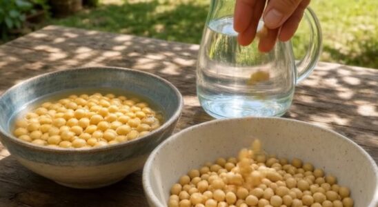 La leche de soya casera que puede interesarte si los sofocos de la menopausia aparecen de repente
