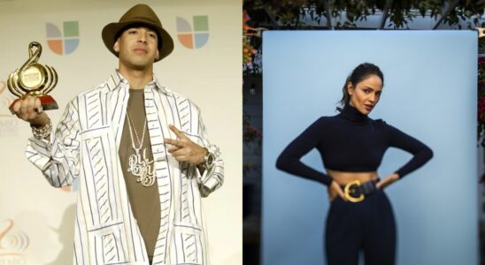Daddy Yankee y Mireddys González enfrentan nueva disputa legal 10 media brain 38743 cover 36fc7173f90629f6 SOY CHALUPA
