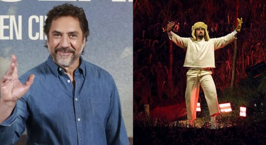 Javier Bardem explica por qué ya no participará en la película con Bad Bunny 29 media brain 38833 cover 309093b655a1661e SOY CHALUPA
