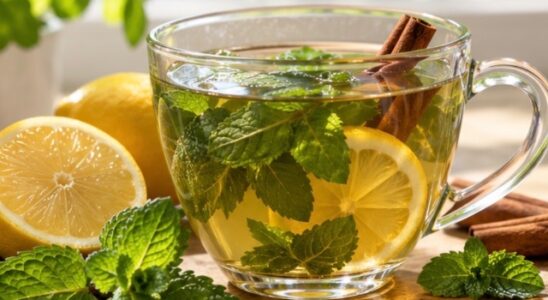 ¿Estómago pesado o hinchado? Así se prepara la infusión de menta, canela y limón 5 Menta