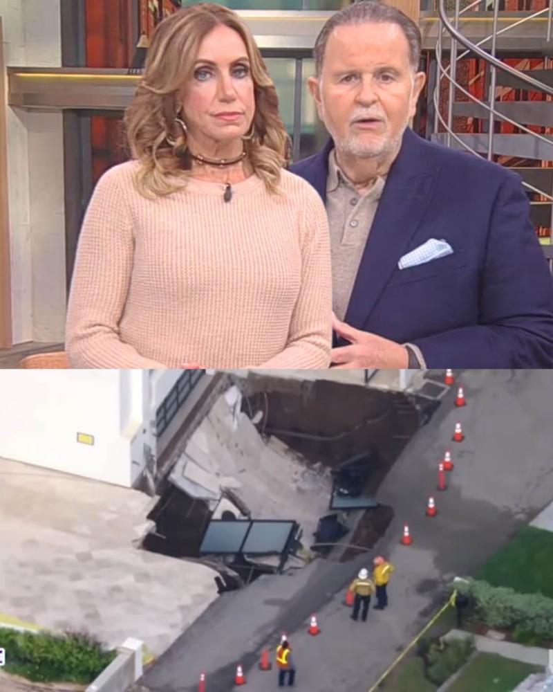 VIDEO: Lili Estefan cuenta el drama del famoso actor cuya mansión se está 'tragando la tierra' 7 Nicolas Cage mansion