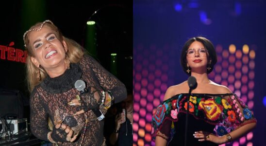 Niurka Marcos vuelve a encender las redes sociales con sus declaraciones sobre Ángela Aguilar (VIDEO) 4 media brain 39296 cover 4993c49fbf4ff1e1 SOY CHALUPA